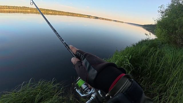 Поклёвка жереха 