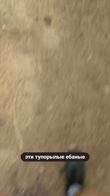 Лесной вайб #лес #утро #пробежка #спорт #фитнес #природа