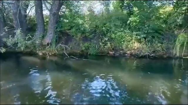 1a2d5e3907448ac17aed7899bfca0e5c