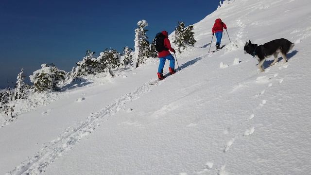 Сергей и Анна. Аргыджек.