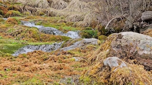 623039273429e6ec1f4c5f258fc8c843