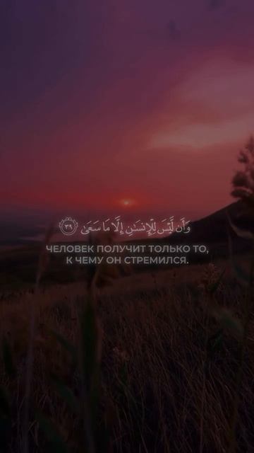 Слушайте коран молча, быть может вас помилуют