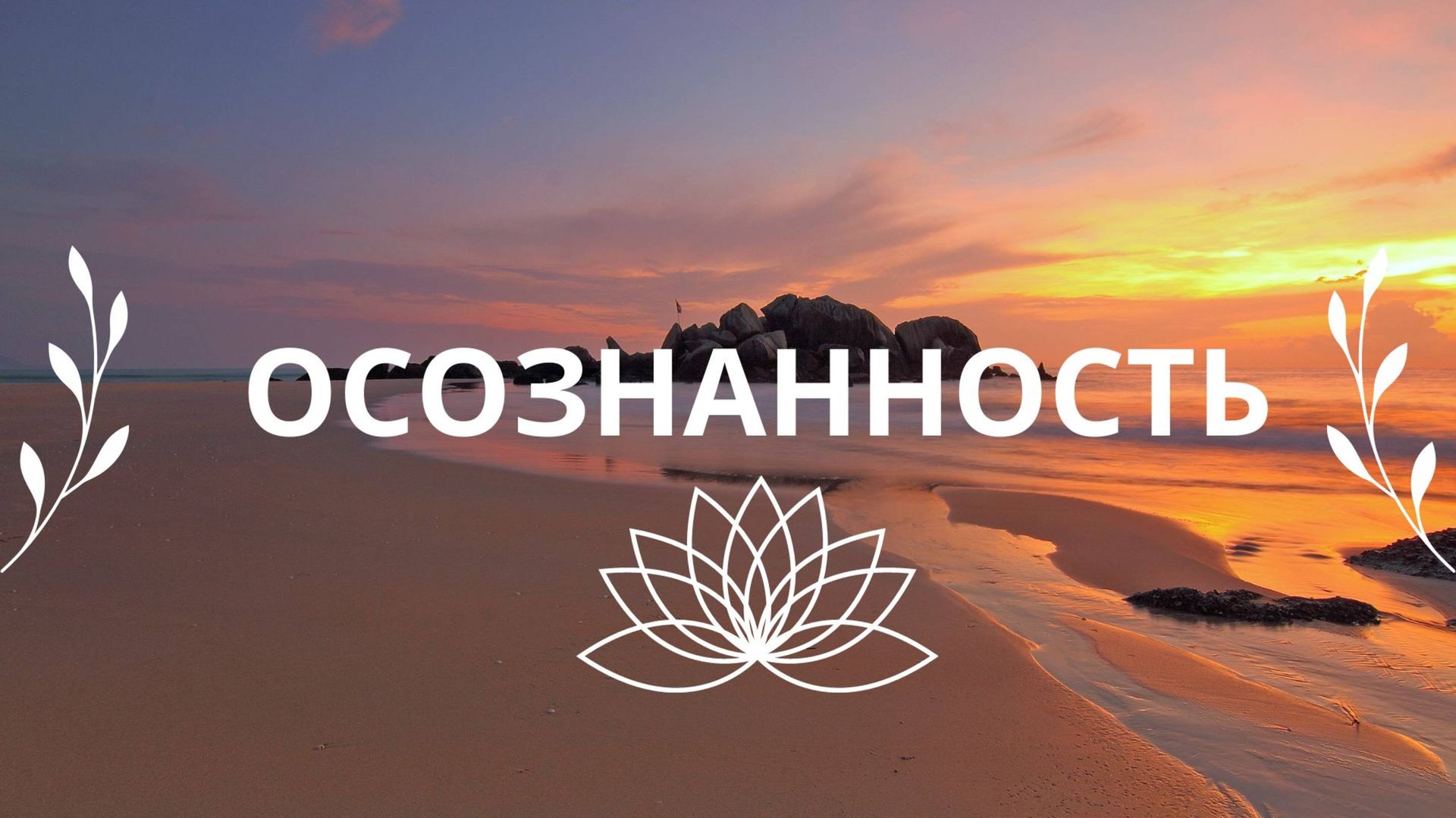 3e9ba2adff1ceb9b8e34f2b67f26e027