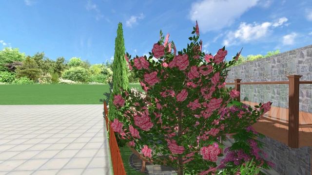 запрудное прогулка