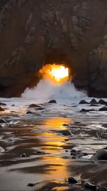 Влюбиться можно не только в человека…