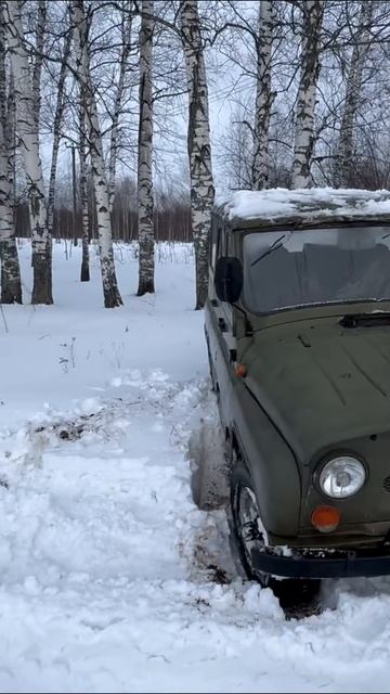 119d5a0aa2b8031f96128975e879e550