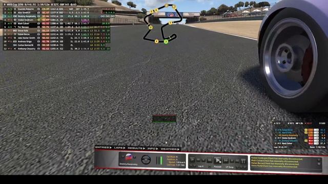 IRacing