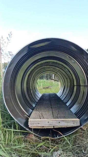 Мастер класс по преодолению препятствий от Бучки!