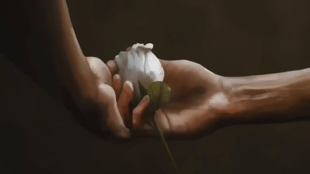 Eec7158a855a8297e064b91b59aa3157