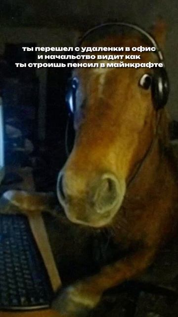 А че, нельзя было?! 😂😰 #мемы #жиза #работа #офис