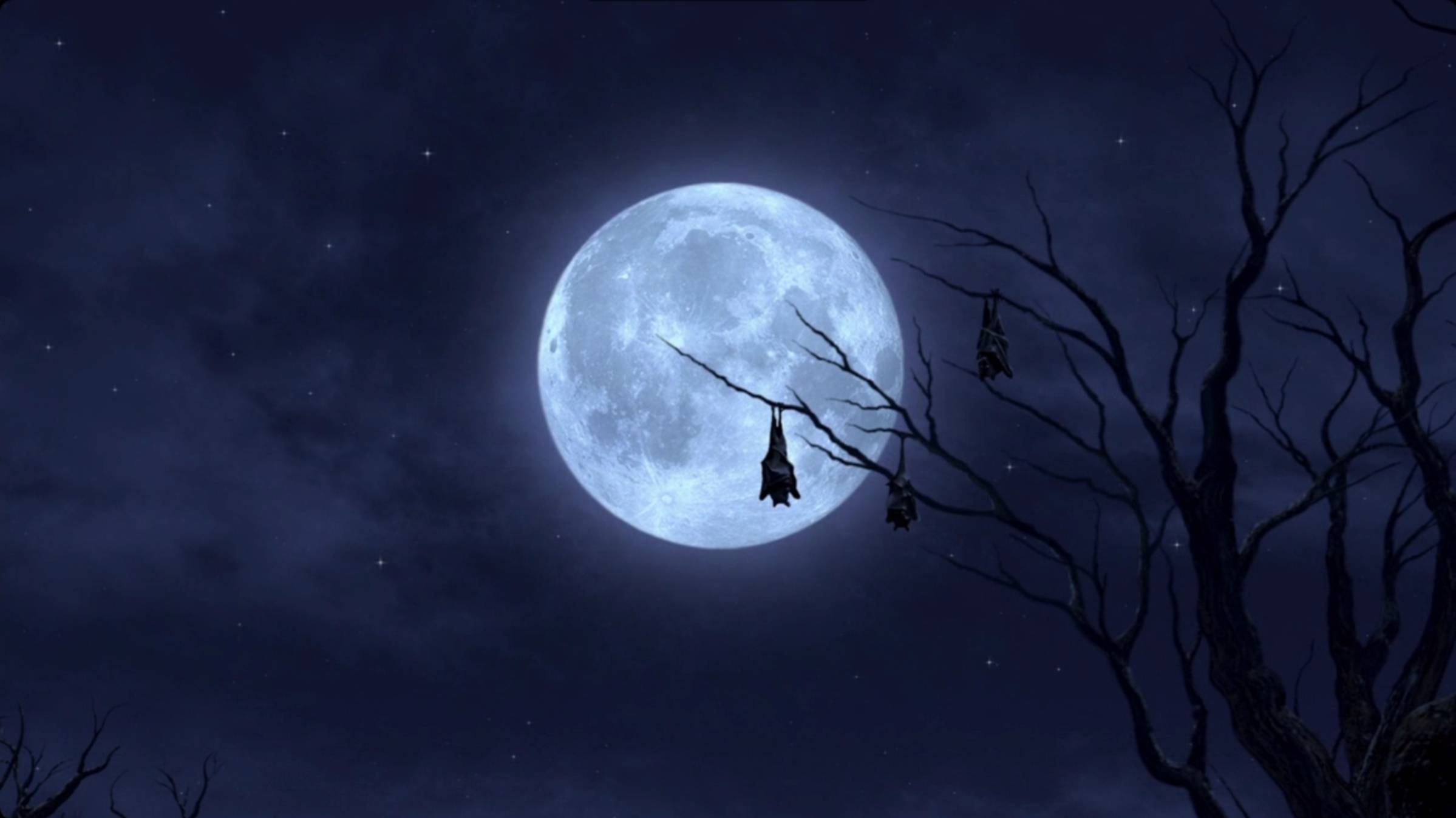 Rizza - полнолуние