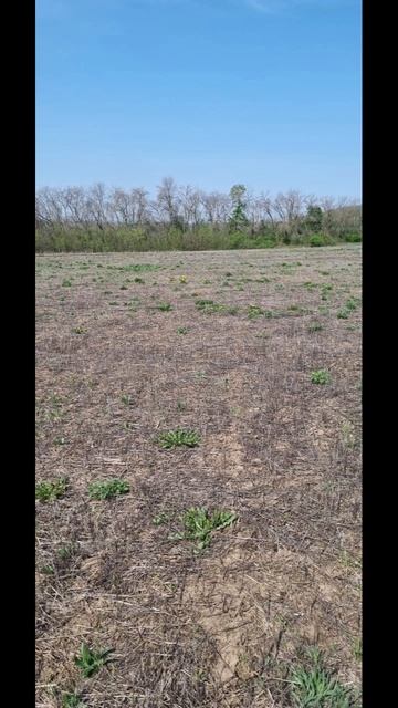 Copy_1A1887CB-26D0-4AE3-ACAE-1C5165A8CB1F