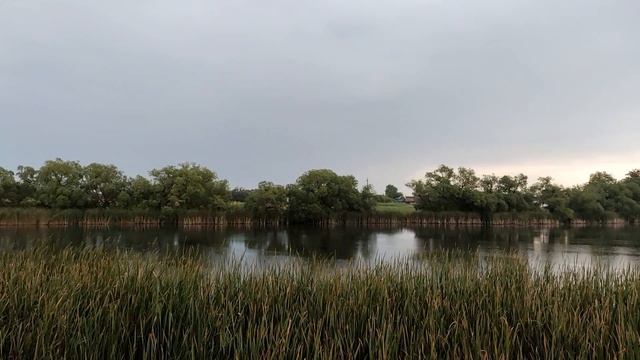 Деревня Алексеевка Грибановского района Воронежской области. 18 июля 2025г. Родина тунца и минтая...