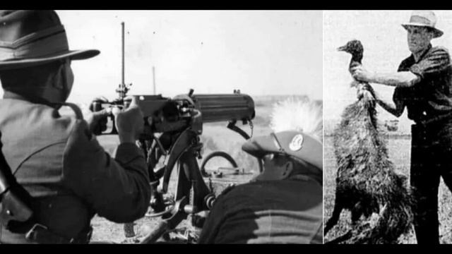 Супер ДЮНА Привет с большого бодуна Пулемёт Против Птицы