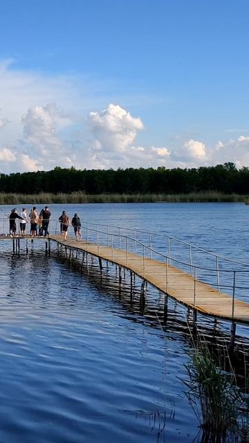 Кубань.Лето 2025