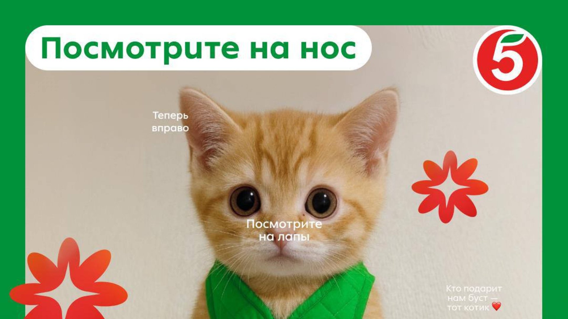 Призиваю Ратао неке