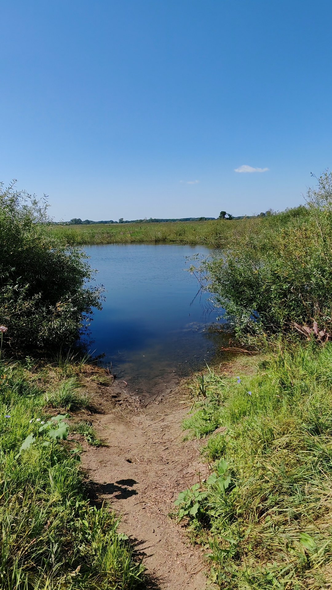 8d7dee93a496f287da01f29c45d10989