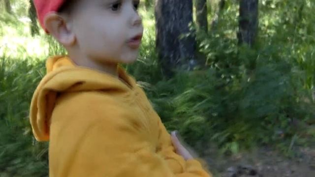 510fd1564a8457e885fdf5a6b600ff09