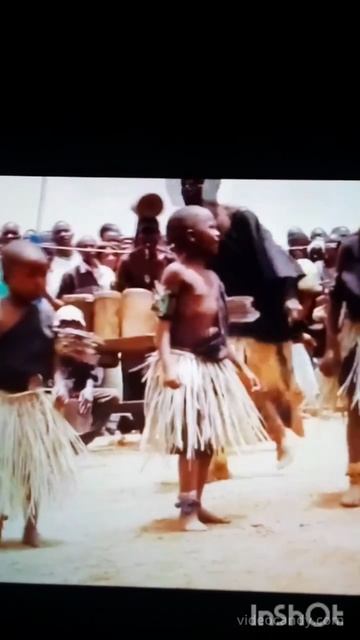 Танцы Навигации, песни Кругосветной выставки.