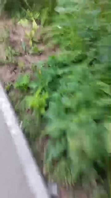 как научится кататься на велосипеде