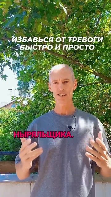 B8e84c9bc7109e0030d0b6d6a44b2326