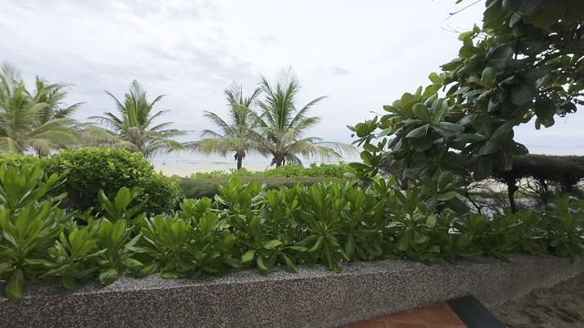 Жара трип. Десятый день. Облом