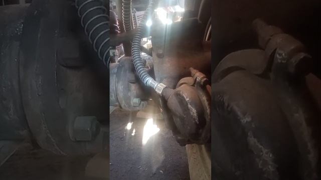 Продолжение восстановления колхиды