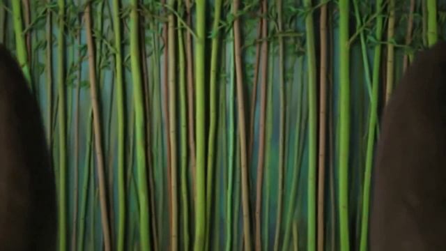 Определите группы ПИ