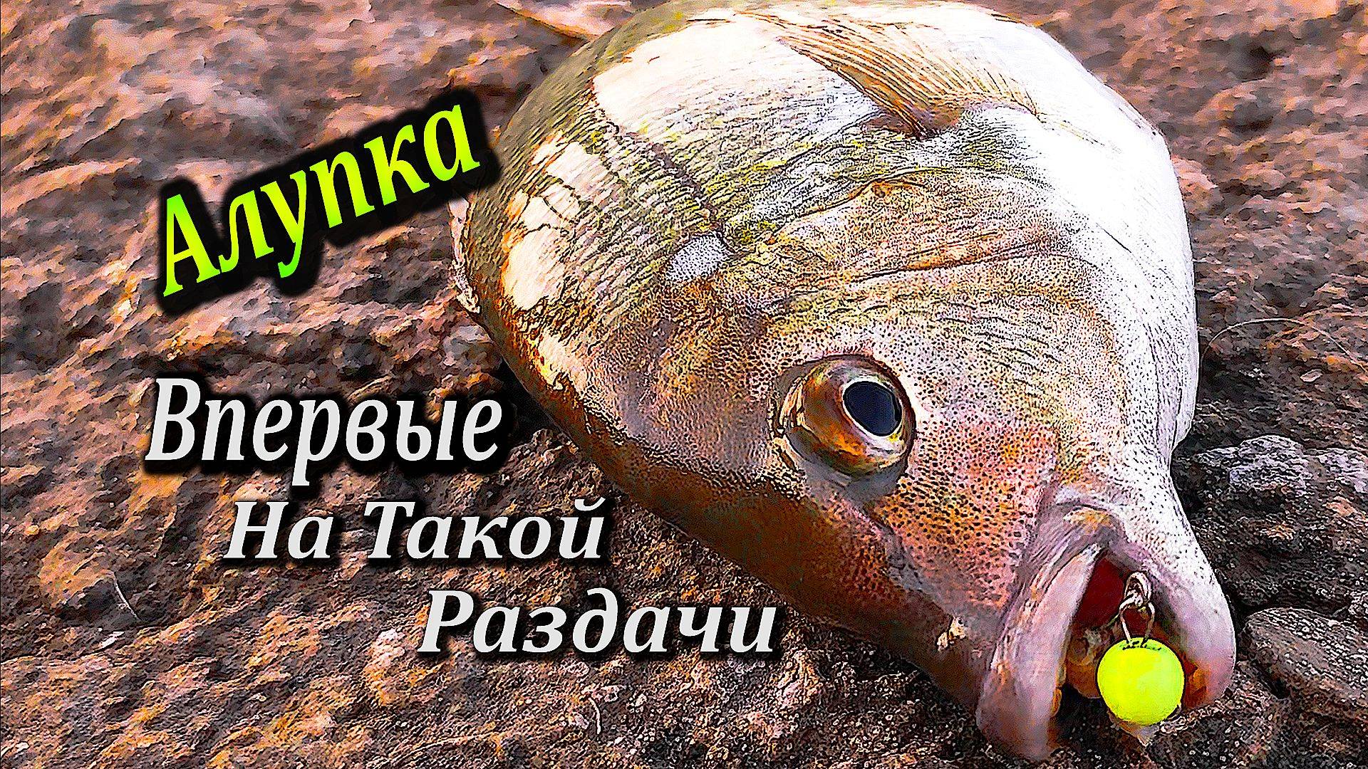 Столько Карася Я Еще не Ловил. Рыбное Эльдорадо в Алупке. Морская рыбалка в Крыму