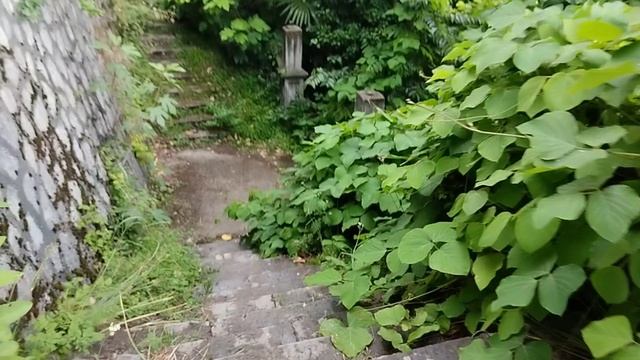 Прогулка по Гагре, Абхазия