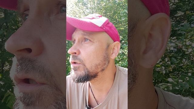 Тупики и выходы. #7. Биоробот (реактивность Vs осознанность)