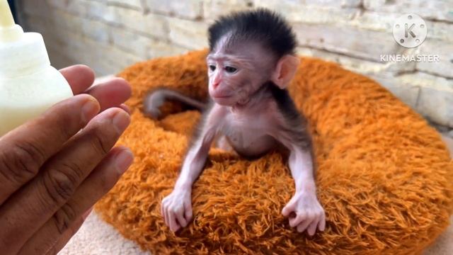 Беседа подушам.