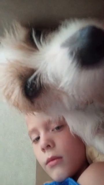 я и моя собака