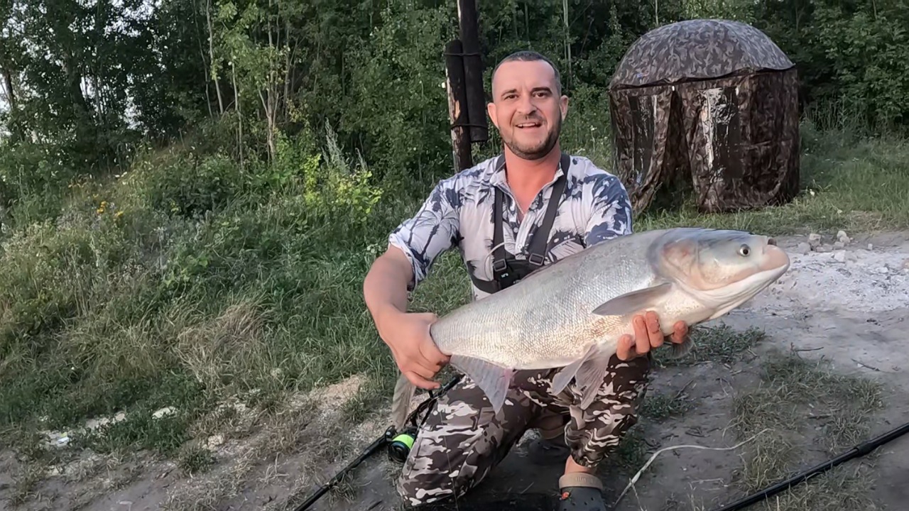 ВОТ ЭТО ТОРПЕДЫ!!! Шикарная рыбалка на толстолобика 2025