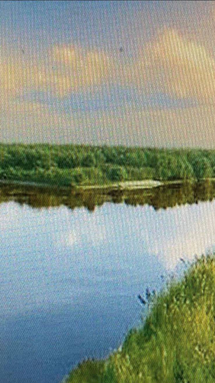 Наш дом и фруктовый сад с прямым выходом на реку с рыбой-Краснодарский край-Абинский район