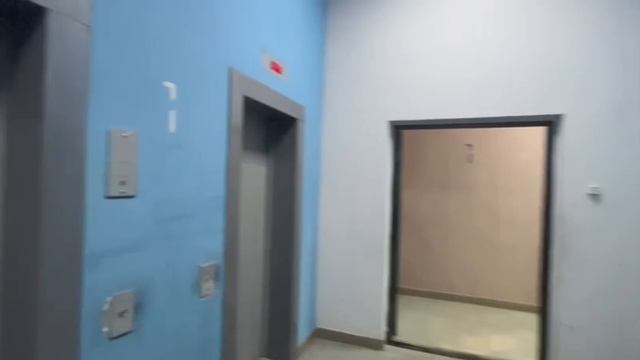 Рост.100б Ареф.