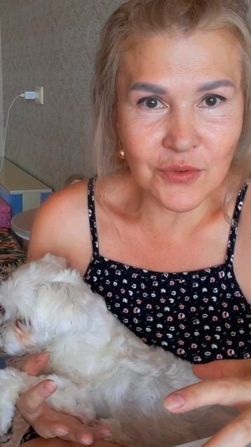 Хорошее кино