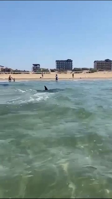 17.07.2025 Чёрное море. Витязево. вода чистейшая.