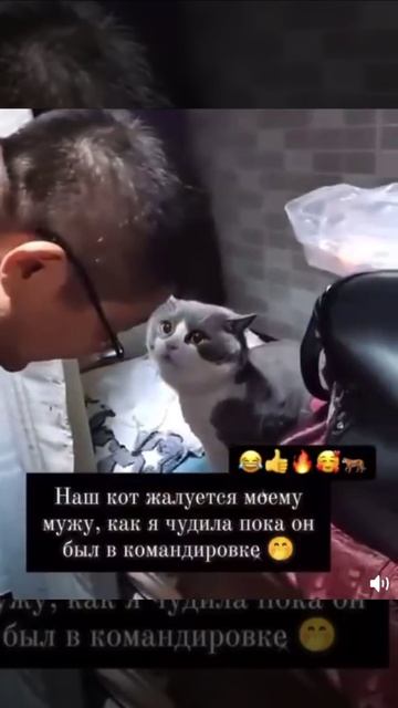 Ну правда же?