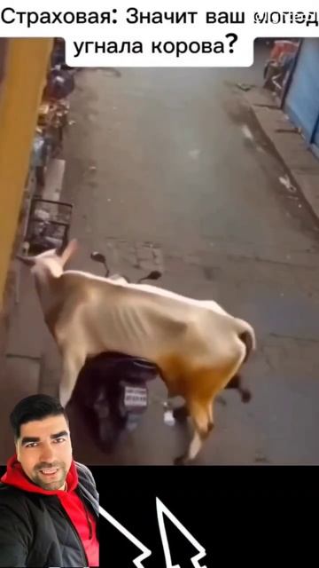 Эхеейй 🤟😎
Больше на ТГ @armanshowofficial