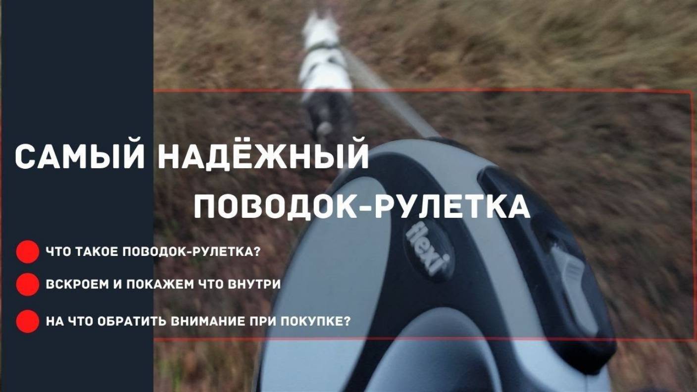Поводок рулетка - на что обратить внимание при покупке и использовании?