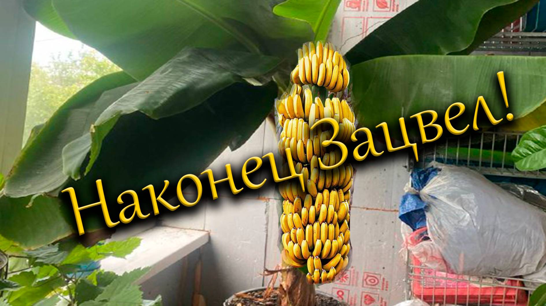 490e8f3617a87a3356981c1c0f5e13cd