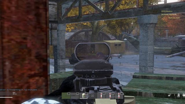 Dayz Strix Stalker DM