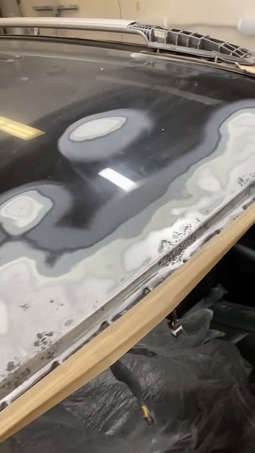 15 октября 2024 г.