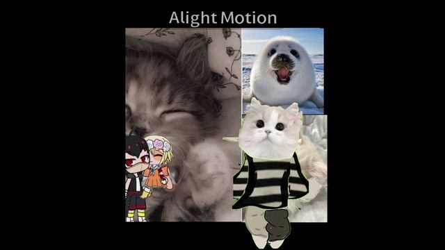 кушкайте а то наверное проголодались