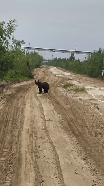 435a34c6e871e6b9bb075a209ff0a001