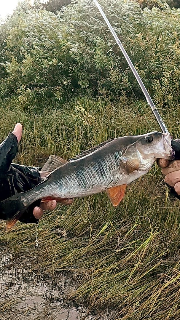 Рыбалка на отводной.🎣