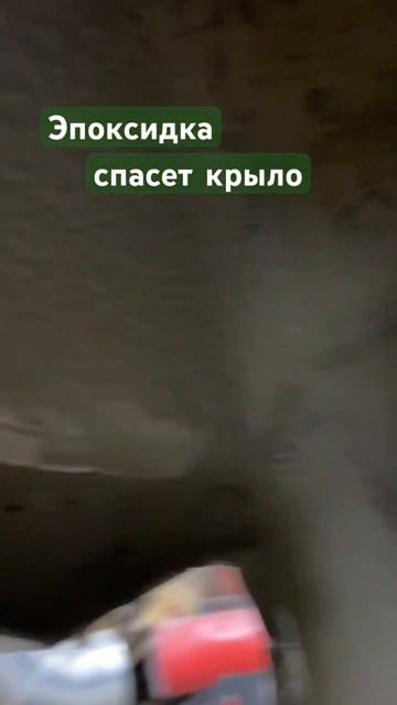 Вечное крыло