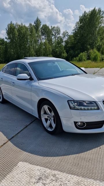 Rutube_account_22028768