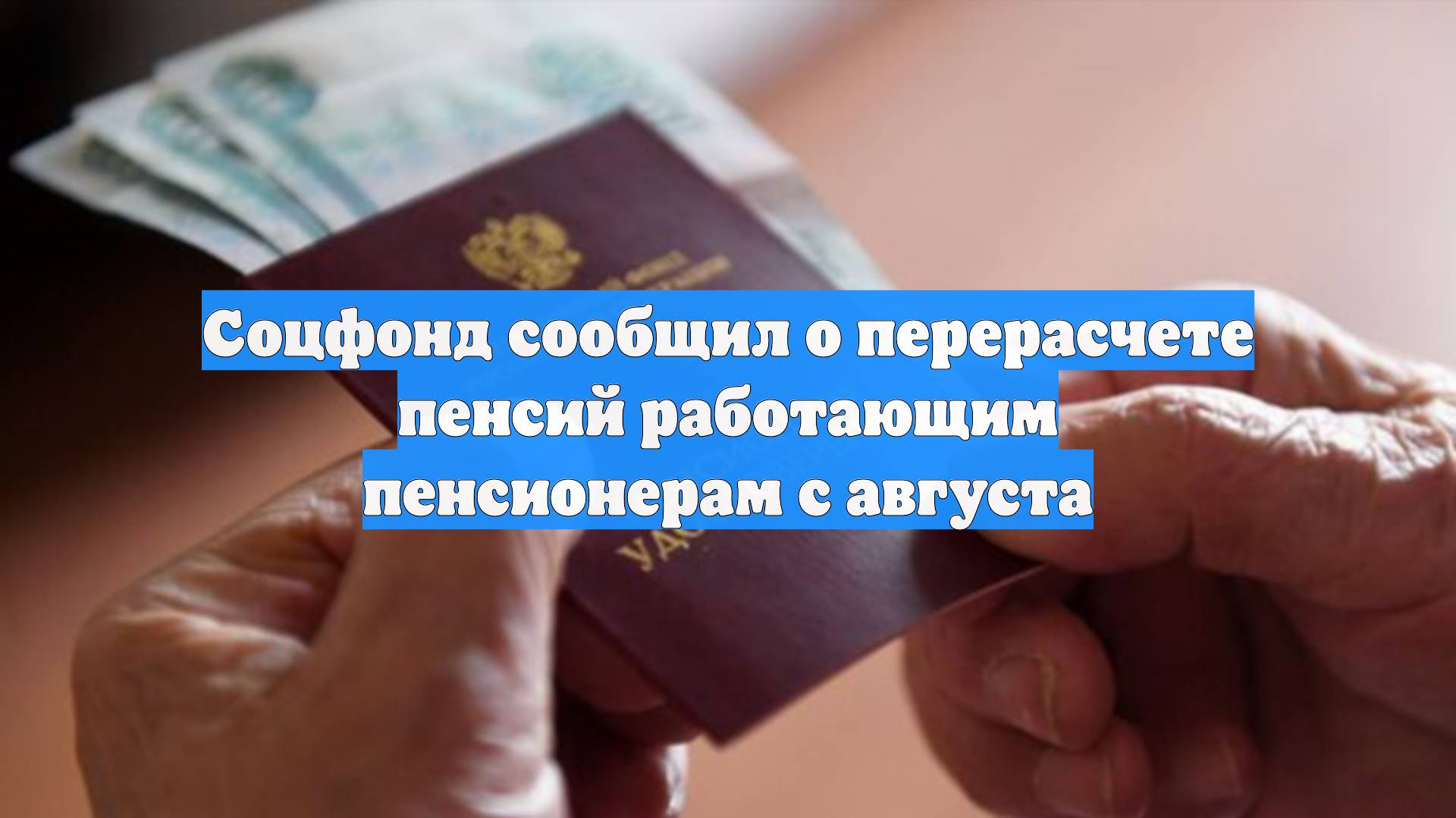 Первый Новостной